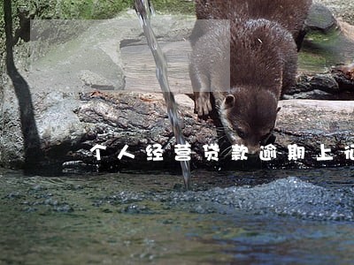 个人经营贷款逾期上征信 个人经营贷款逾期上征信