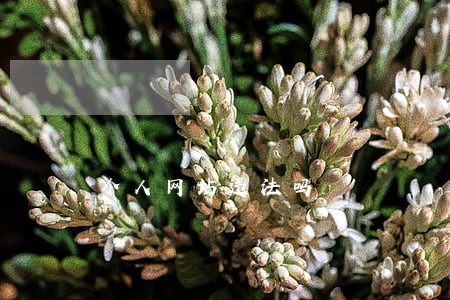 个人网站违法吗 个人网站违法吗
