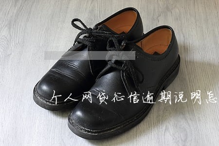 个人网贷征信逾期说明怎么写 个人网贷征信逾期说明怎么写