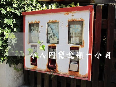个人网贷逾期一个月 个人网贷逾期一个月