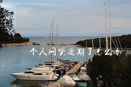 个人网贷逾期了怎么办 个人网贷逾期了怎么办