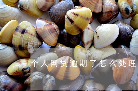 个人网贷逾期了怎么处理 个人网贷逾期了怎么处理