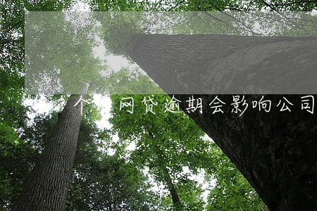 个人网贷逾期会影响公司吗 个人网贷逾期会影响公司吗