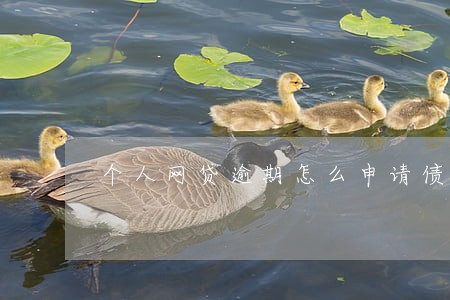 个人网贷逾期怎么申请债务重组 个人网贷逾期怎么申请债务重组