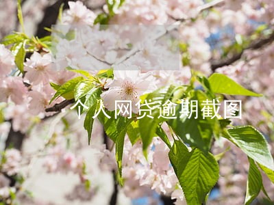 个人网贷逾期截图 个人网贷逾期截图