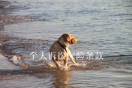 个人诉讼保险条款 个人诉讼保险条款
