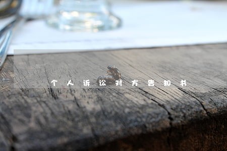 个人诉讼对方告知书 个人诉讼对方告知书