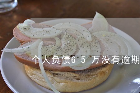 个人负债65万没有逾期 个人负债65万没有逾期