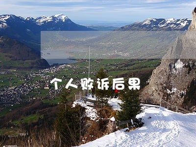 个人败诉后果