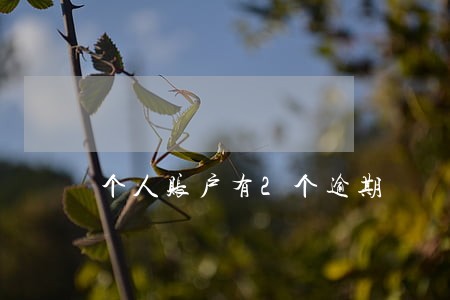 个人账户有2个逾期 个人账户有2个逾期