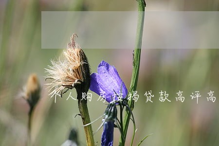 个人购房按揭贷款高评高贷违法吗 个人购房按揭贷款高评高贷违法吗