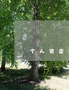 个人贷企业逾期1天 个人贷企业逾期1天