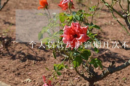 个人贷款买房逾期几次不行 个人贷款买房逾期几次不行