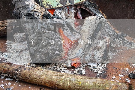 个人贷款公司用违法吗