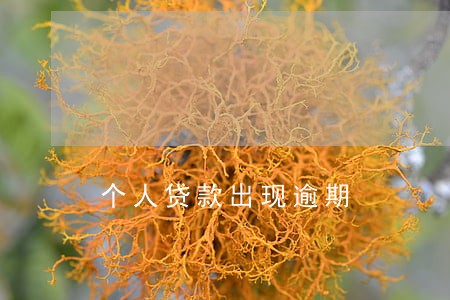 个人贷款出现逾期 个人贷款出现逾期