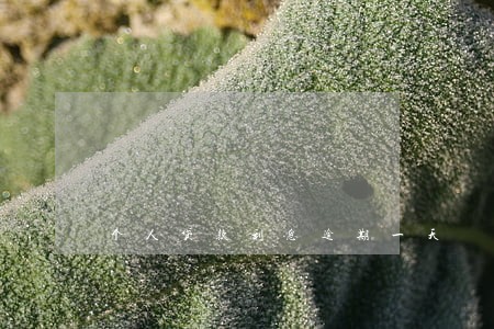 个人贷款利息逾期一天