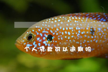 个人贷款可以逾期吗 个人贷款可以逾期吗