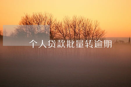 个人贷款批量转逾期 个人贷款批量转逾期
