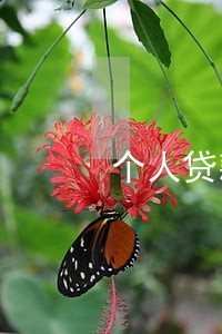 个人贷款最高逾期数超过3期 个人贷款最高逾期数超过3期