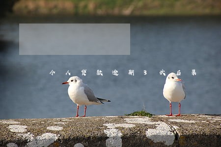 个人贷款逾期3次后果 个人贷款逾期3次后果