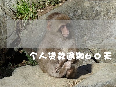 个人贷款逾期60天 个人贷款逾期60天
