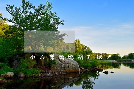 个人贷款逾期7账户 个人贷款逾期7账户