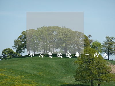 个人贷款逾期一两天 个人贷款逾期一两天