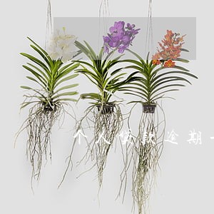 个人贷款逾期一天罚息多少 个人贷款逾期一天罚息多少
