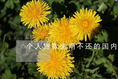 个人贷款逾期不还的国内情况