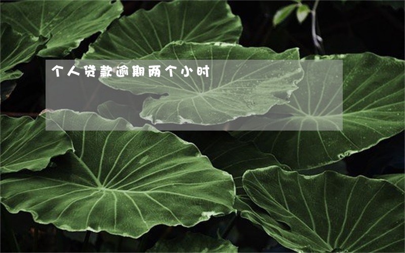 个人贷款逾期两个小时 个人贷款逾期两个小时