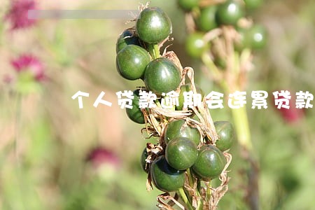 个人贷款逾期会连累贷款吗 个人贷款逾期会连累贷款吗
