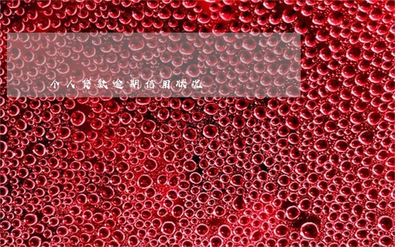 个人贷款逾期信用状况 个人贷款逾期信用状况
