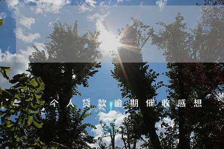 个人贷款逾期催收感想 个人贷款逾期催收感想