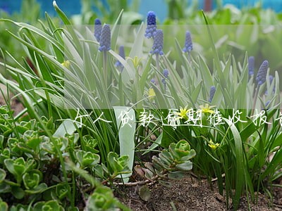 个人贷款逾期催收报告 个人贷款逾期催收报告