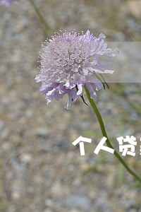 个人贷款逾期催收报告范文 个人贷款逾期催收报告范文