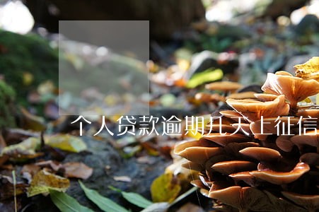 个人贷款逾期几天上征信 个人贷款逾期几天上征信
