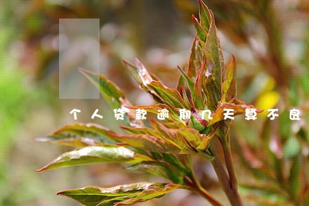 个人贷款逾期几天算不良 个人贷款逾期几天算不良