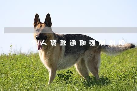 个人贷款逾期强制划扣 个人贷款逾期强制划扣