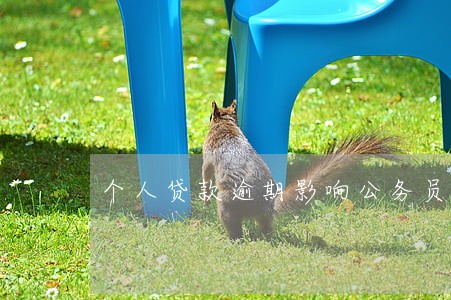个人贷款逾期影响公务员政审