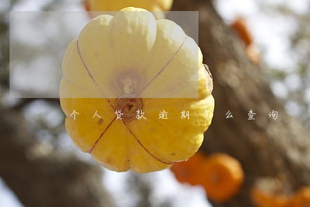 个人贷款逾期怎么查询 个人贷款逾期怎么查询