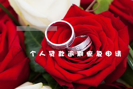 个人贷款逾期恢复申请 个人贷款逾期恢复申请