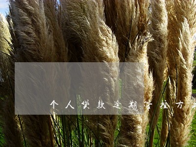个人贷款逾期管控方案 个人贷款逾期管控方案