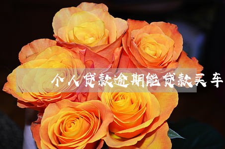 个人贷款逾期能贷款买车吗 个人贷款逾期能贷款买车吗