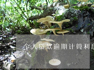 个人贷款逾期计算利息 个人贷款逾期计算利息