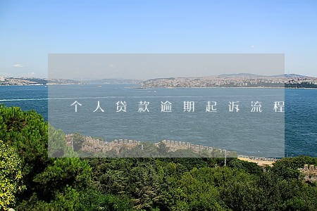 个人贷款逾期起诉流程