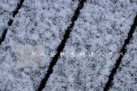 个人贷款逾期进入可以 个人贷款逾期进入可以
