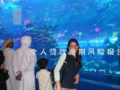 个人贷款逾期风险报告 个人贷款逾期风险报告