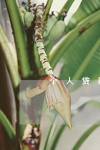 个人贷款逾期首次上门催收 个人贷款逾期首次上门催收