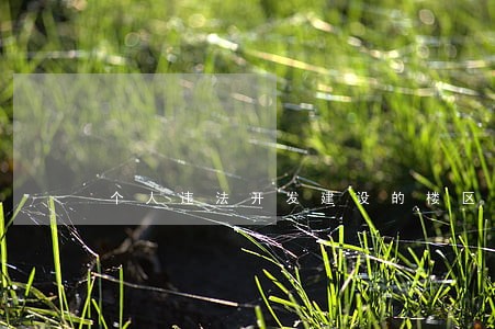 个人违法开发建设的楼区农民工 个人违法开发建设的楼区农民工