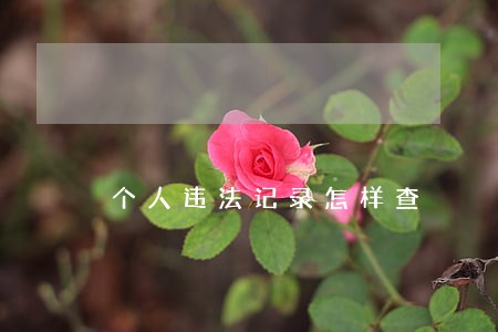 个人违法记录怎样查 个人违法记录怎样查